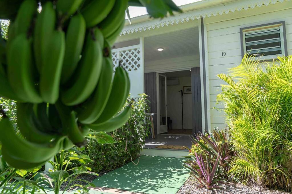 Perle Des Caraibes, Bungalow Moderne N°18 Le Gosier  Eksteriør billede
